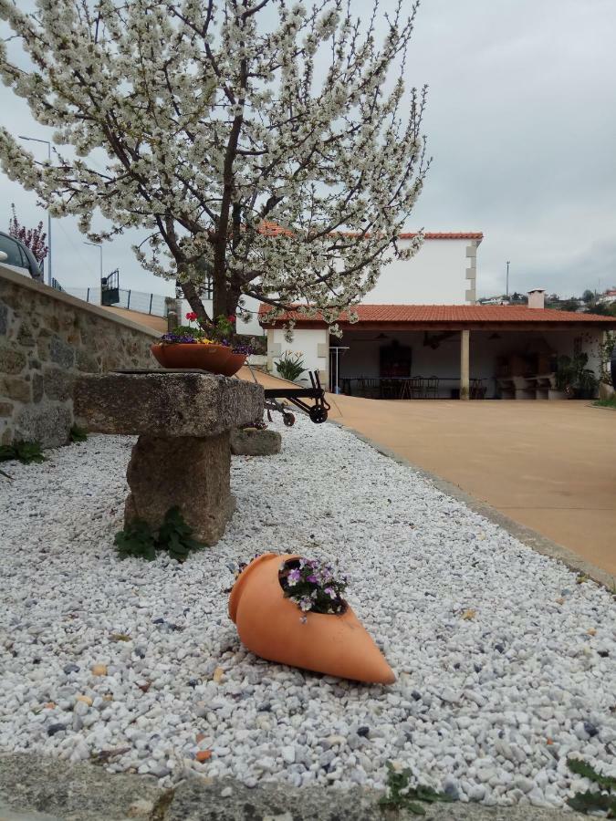 Casa Freitas Villa Paredes de Coura Buitenkant foto